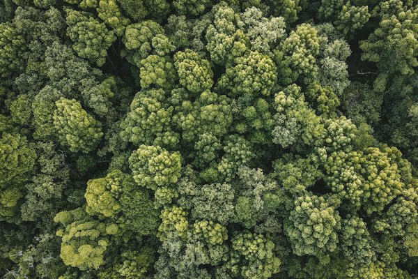 Musique : découvrez les tendances, les artistes émergents et l'impact de la musique sur notre quotidien